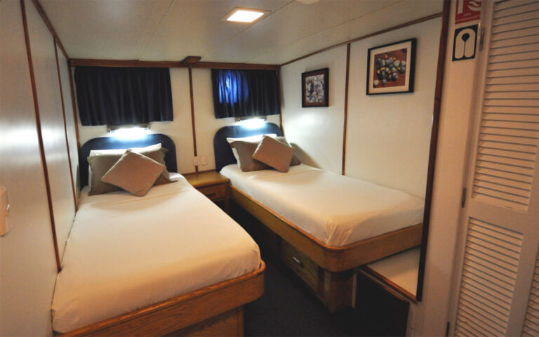Beluga Cabin