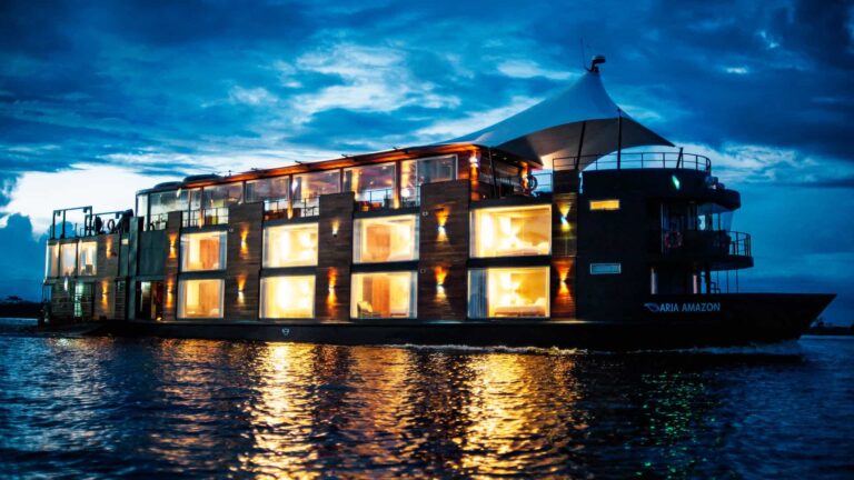 ARIA AMAZON At Night
