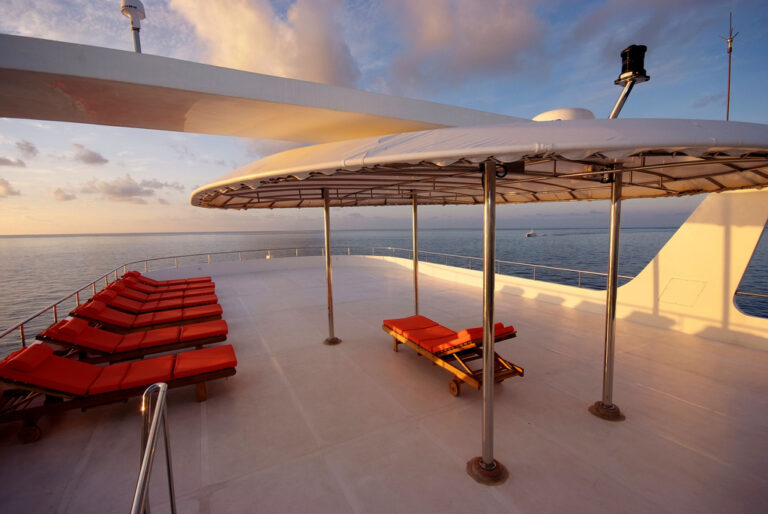 ARK ROYAL Sundeck