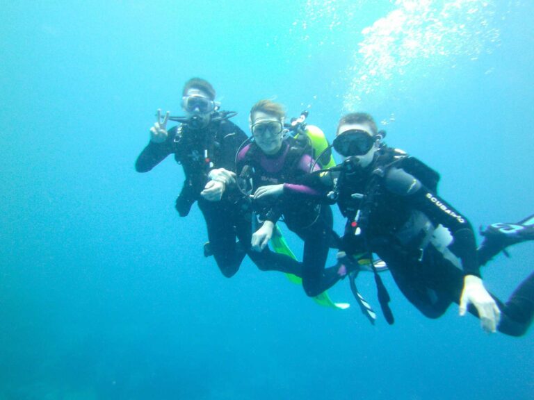 Activities
