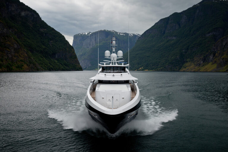 Ann G - Bow