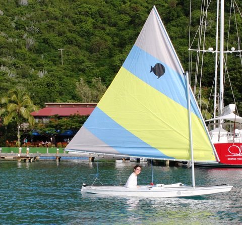 Aquarius - Sunfish