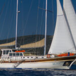 ECE ARINA