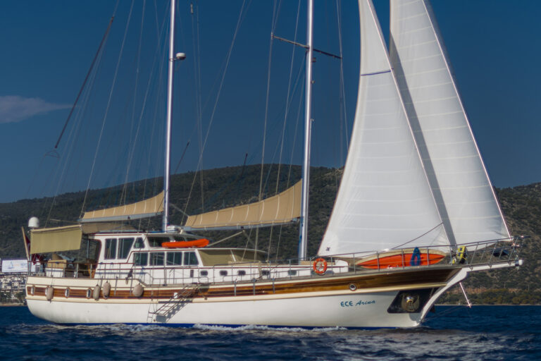 ECE ARINA