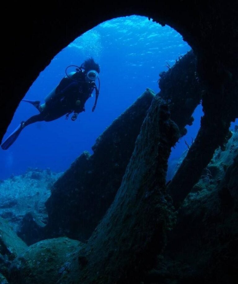 CUAN LAW - Diving