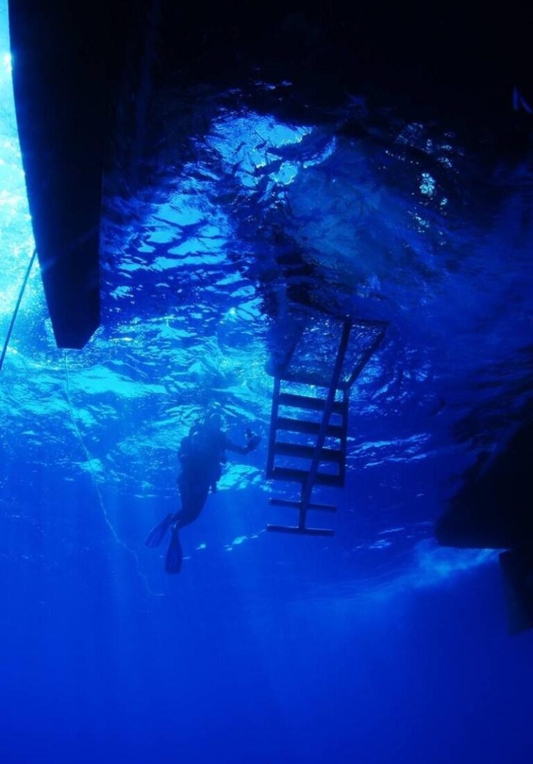 CUAN LAW - Scuba view