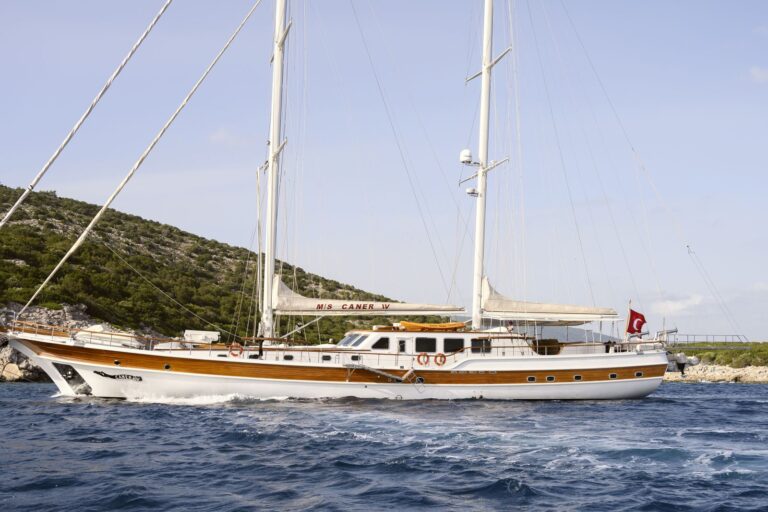 CANER IV