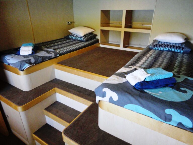 Cat JAMBO - Twin Cabin