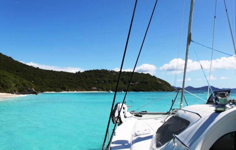Cat SECRET OASIS -  In the Carribean