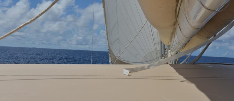 Catamaran LONESTAR