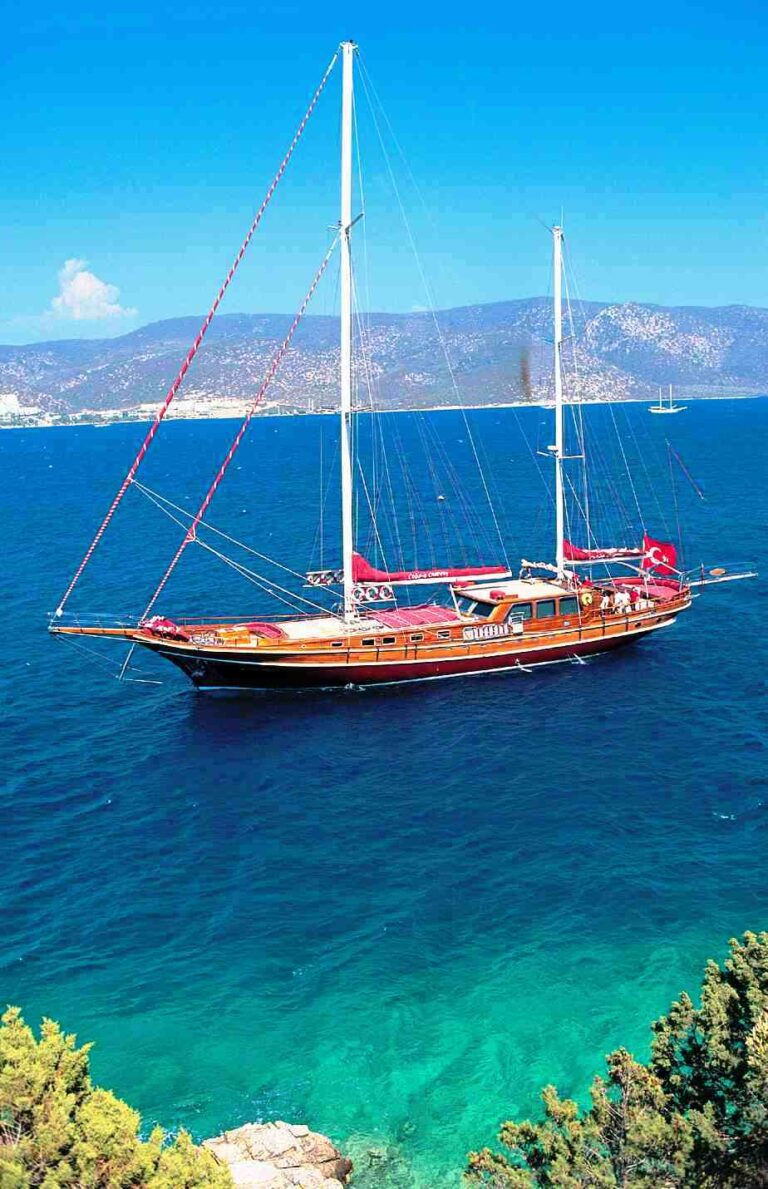 Cobra Queen -  At Anchor