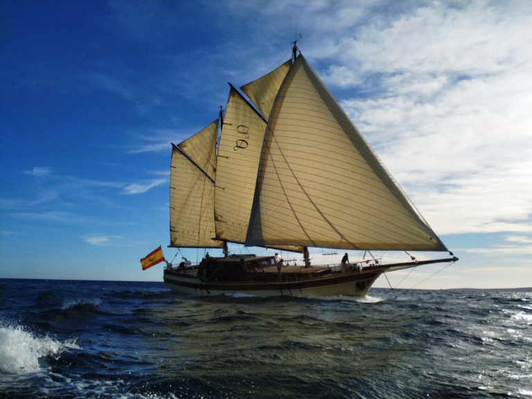 DIRDAM Exterior Profile