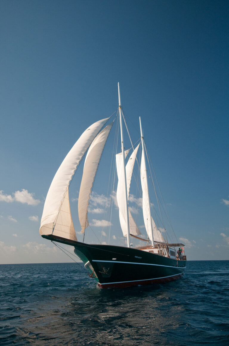 DREAM VOYAGER