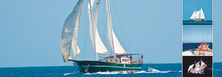 DREAM VOYAGER - Cruising 2