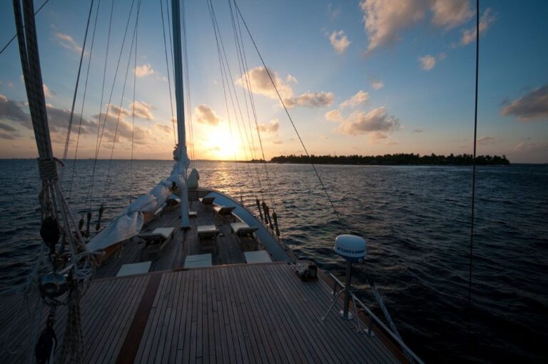 DREAM VOYAGER - Looking Forward