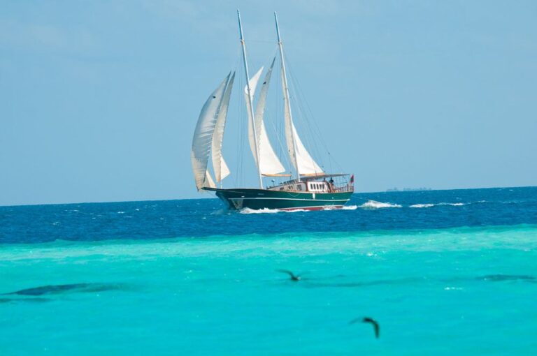 DREAM VOYAGER - On Charter