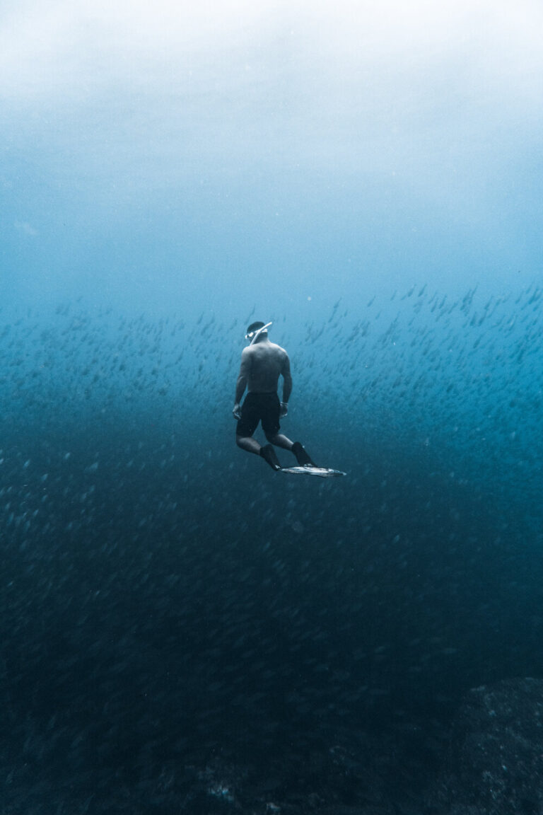 Diving Experience