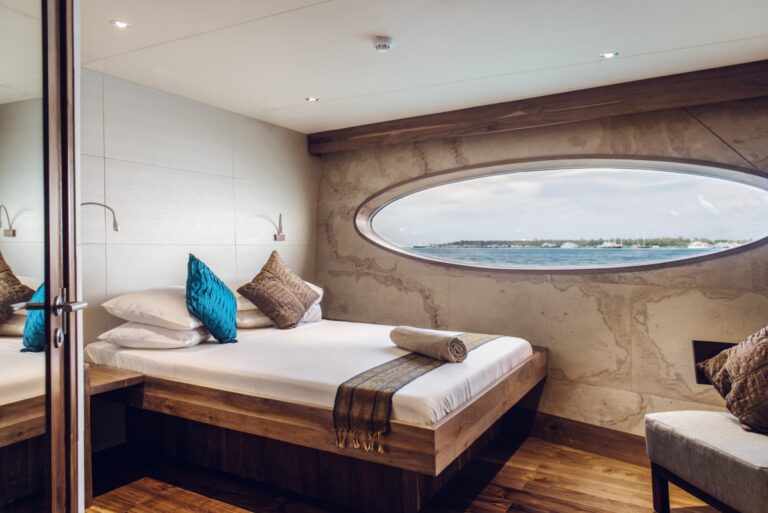 Dolphin Suite