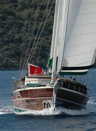 ECCE NAVIGO -  Front View