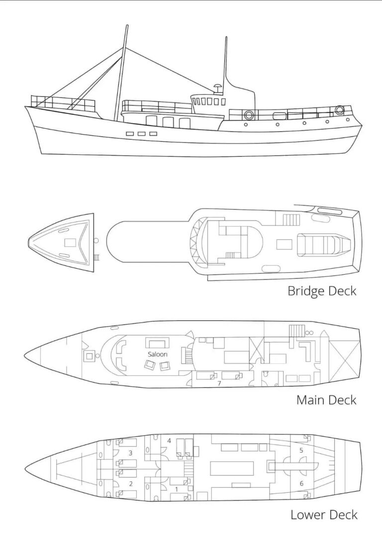 Layout