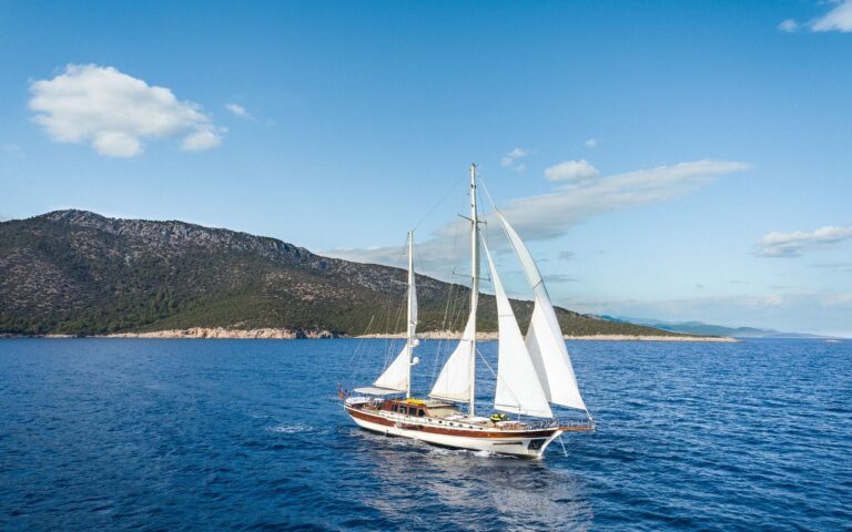 Estrella De Mar