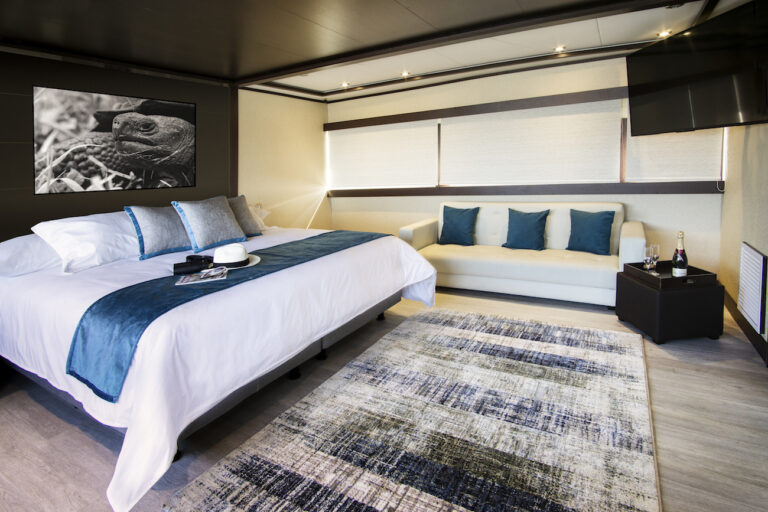 Guest Suite