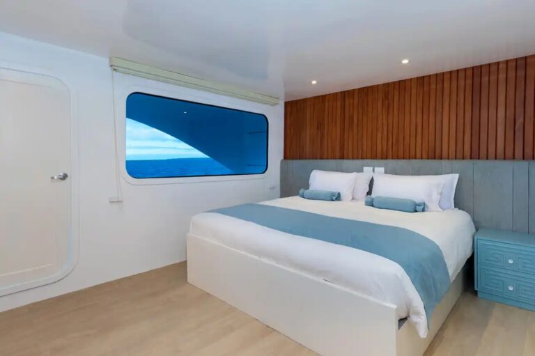 Guest  Suite