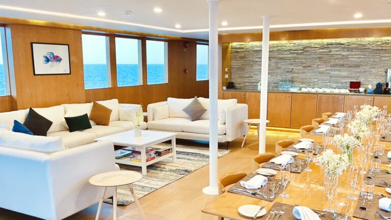 Salon and dining