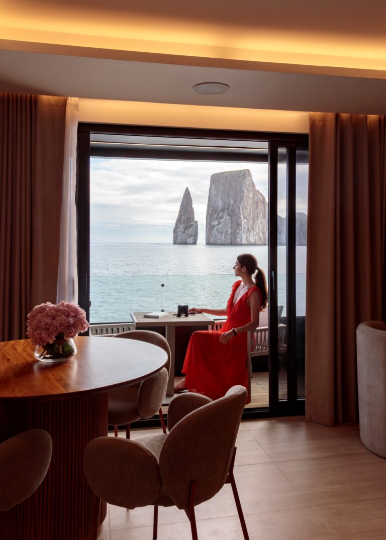 Interior Relaxation Area With Window Views