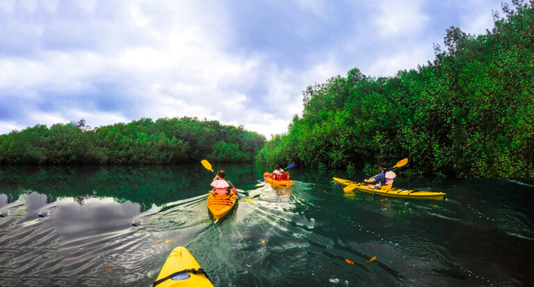 Kayak Osa Peninsula