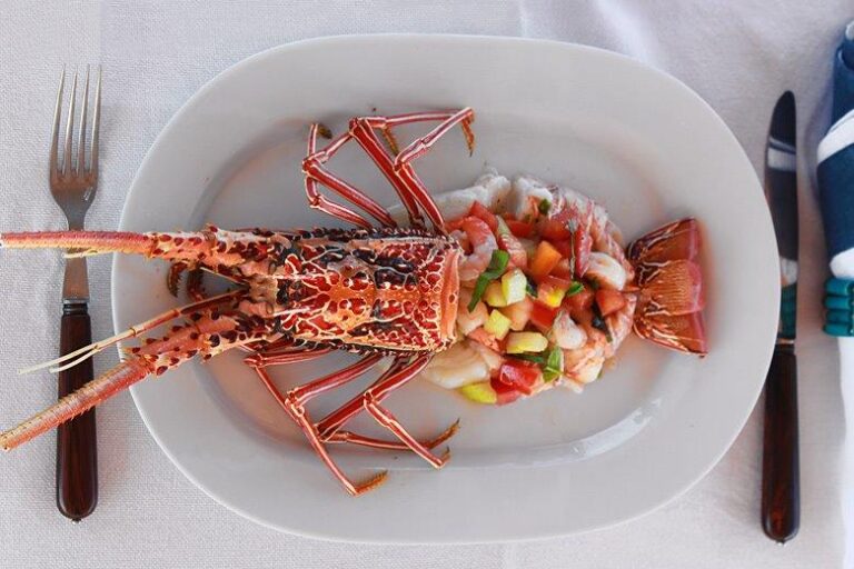 Luxury sailing yacht Aspiration - Dish
