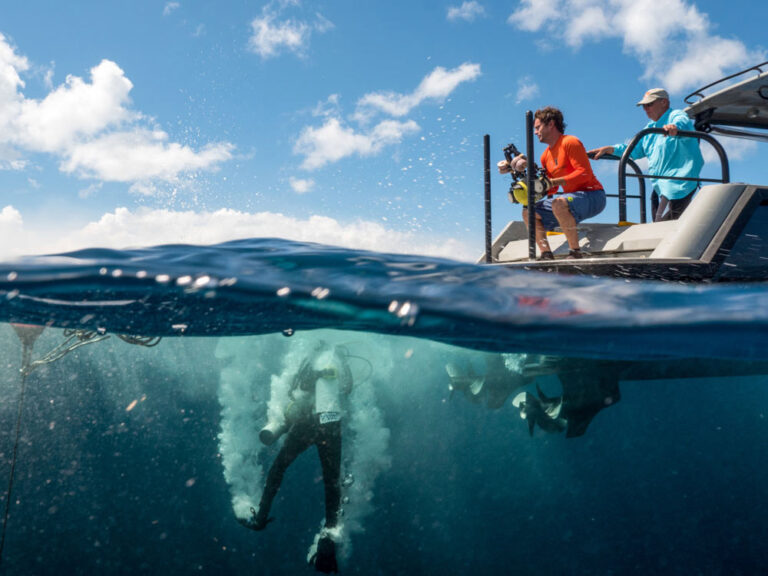 Water Activities