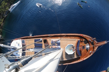 MS MEZCAL - From Above