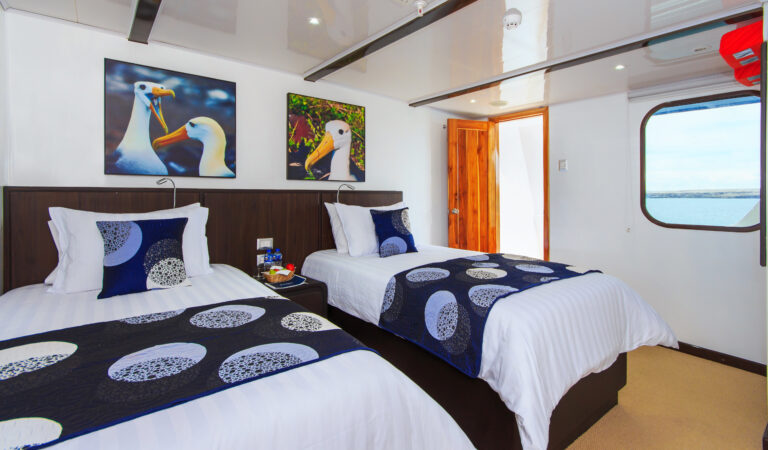 Twin Guest Cabin