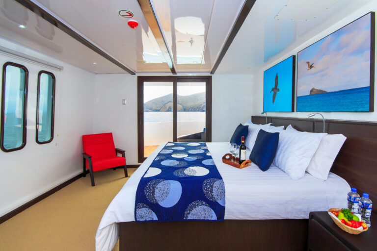 Guest Suite