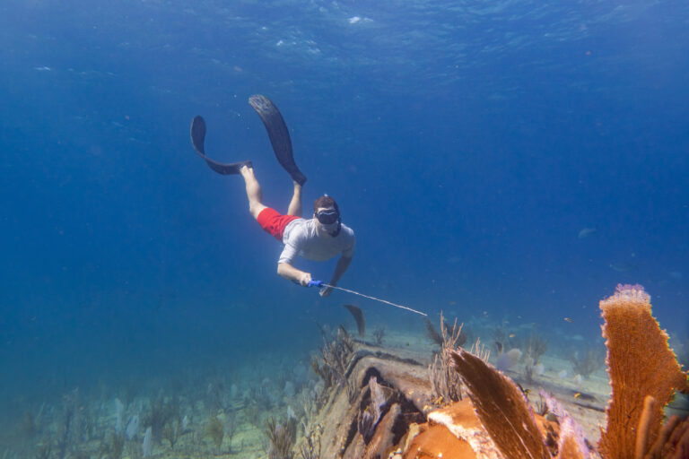 Snorkelling