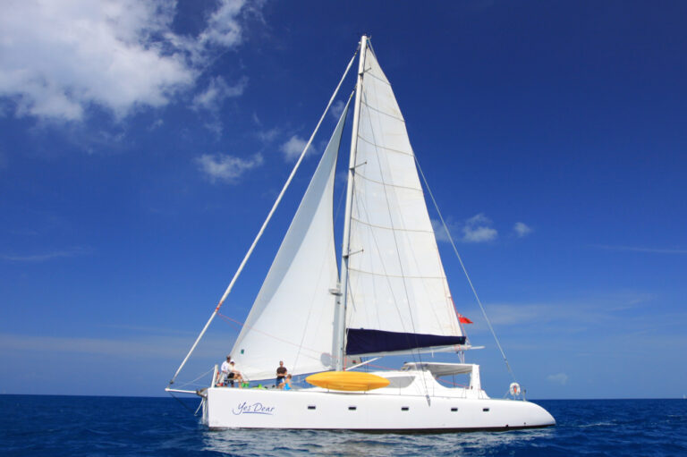 Catamaran YES DEAR - Main shot