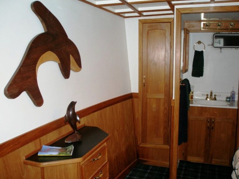 Morning Mist -  VIP Cabin Bathroom view
