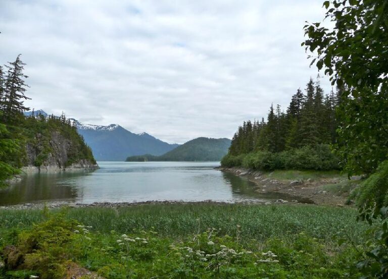 Motor yacht VIAGGIO - Alaskan Wilderness