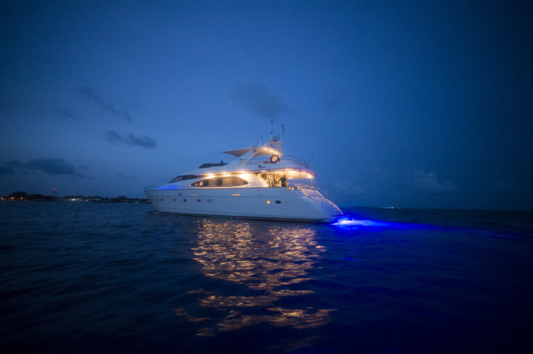 Night Shot