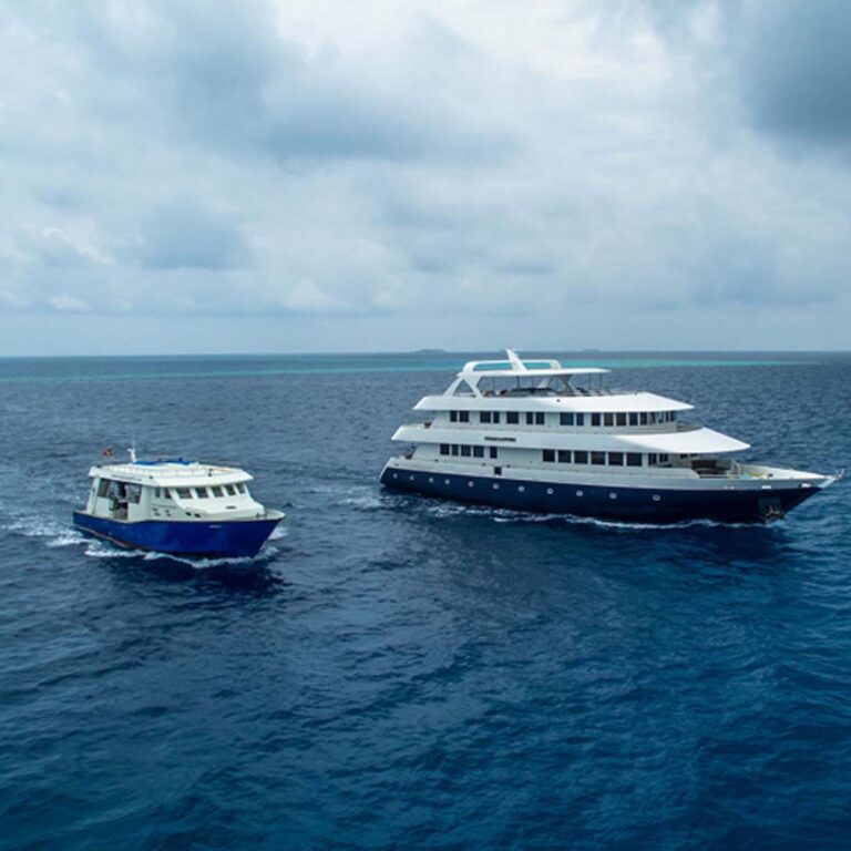 Ocean Sapphire Liveaboard Boat And Dive Tender