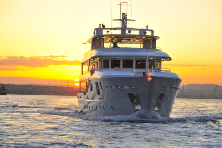 PALMARINA Profile At Sunset