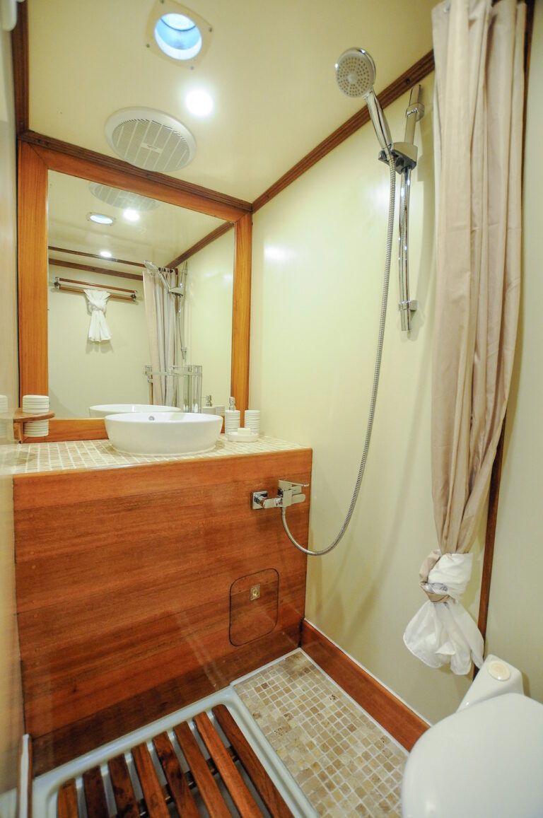 RAJA LAUT charter yacht - bathroom