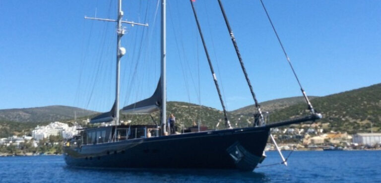 ROX STAR