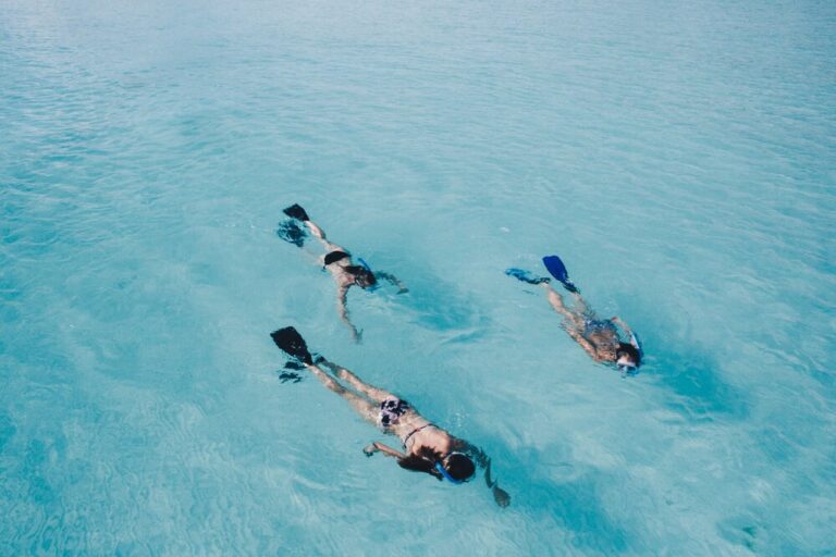 Snorkelling