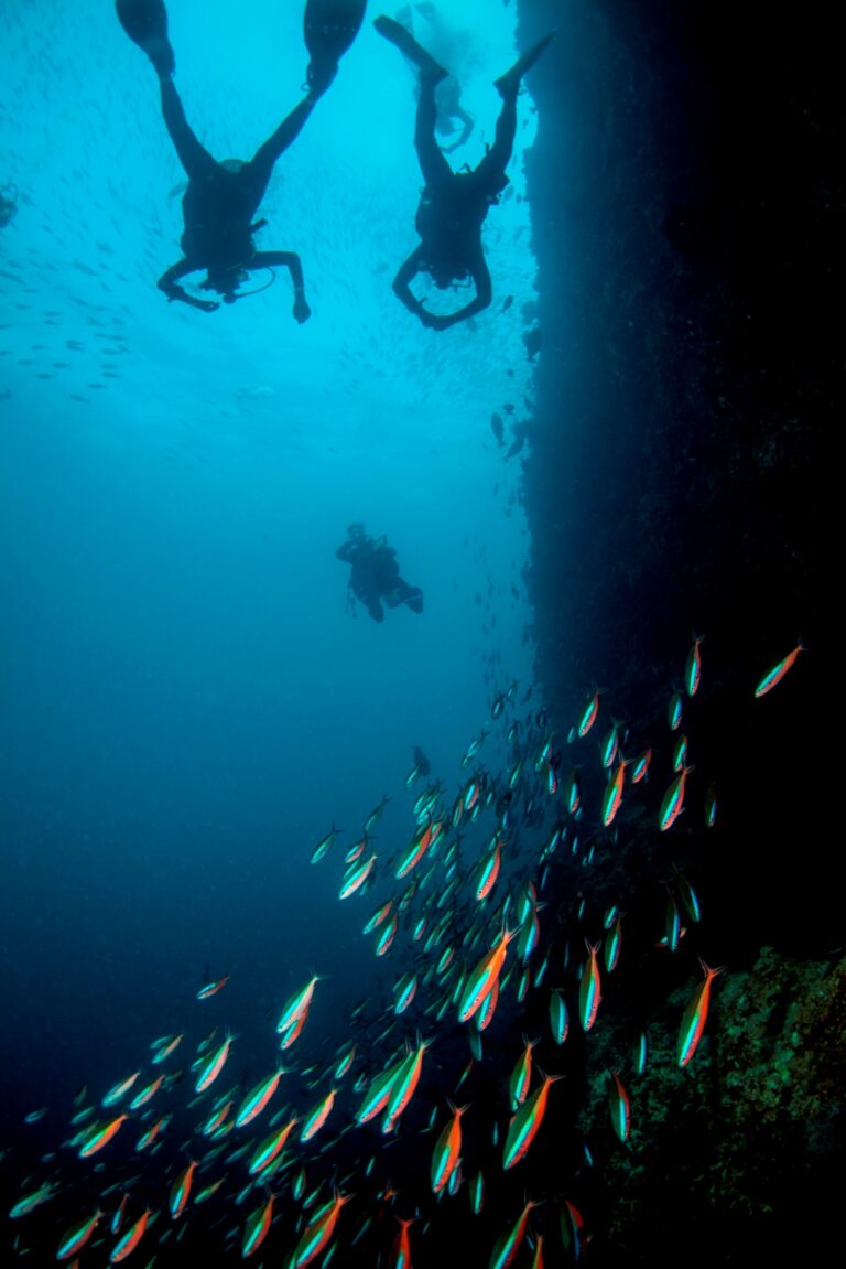 Diving