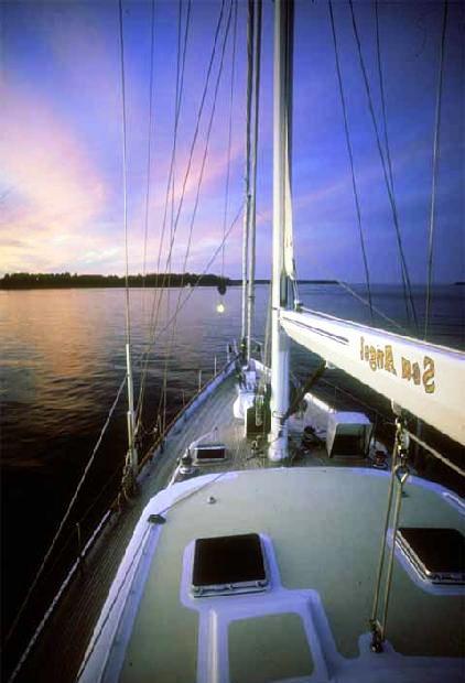SEA ANGEL - Deck
