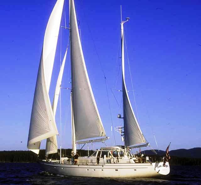 SEA ANGEL - Profile