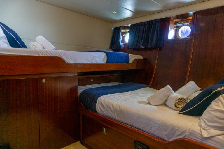 Twin Suite
