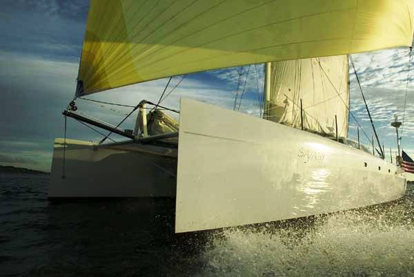 Safari Under Sail